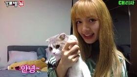 吃瓜今日吃瓜入口lisa,吃瓜今日，瓜界新宠